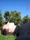 dsc01621.jpg