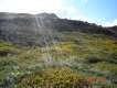 dsc01690.jpg
