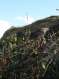 dsc01697.jpg