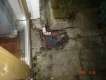 dsc01665.jpg